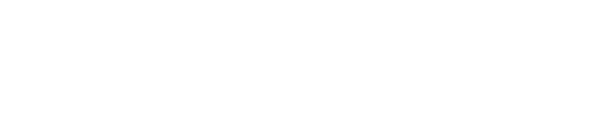 DCSports87 logo